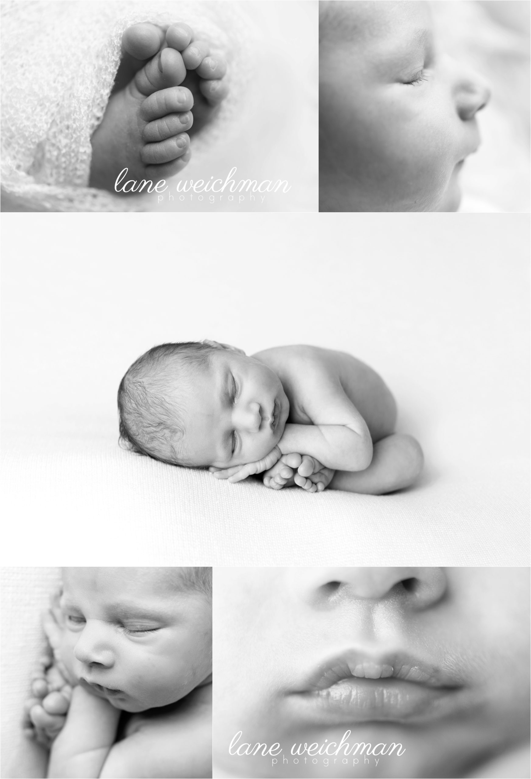 Newborn Photographer Birmingham AL